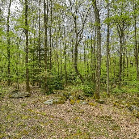 Woodsy Way Cabin オークランド エクステリア 写真